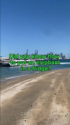 Did you know how to Put an Elephant in a Fridge? – 3 Easy Steps! 🐘❄️ #didyouknow