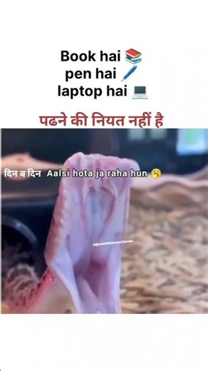 padhai krne ki niyat nhi hai #memes