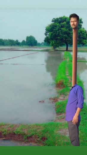 72K views · 427 reactions | Plants vs. Aliens  | Aliens of Bombay | Facebook