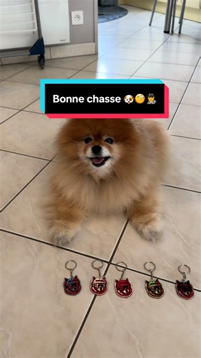 Chasse aux 5 porte-clés cachés dans la nature
