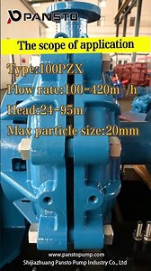 Industrial Froth Pump Solution | Mining Flotation Froth Slurry Pump in Operation