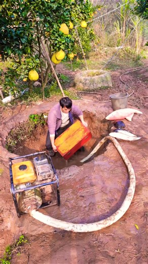Using a Water Pump to Catch Fish from a Muddy Pit