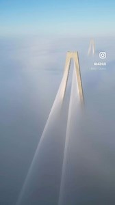 43K views · 1.3K reactions | Charleston, SC on a foggy morning - Source: https://www.instagram.com/843hub | Charleston Daily | Facebook