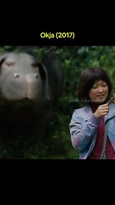 Super pig rescues a girl | Miller VO