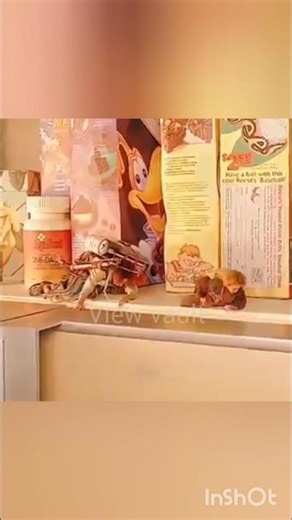 #shorts #trending #sehar