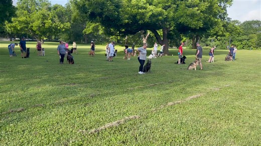 Don’t you want a dog that will go anywhere, anytime? Did you get a dog to leave at the house and just show pictures of? We’ll get you butt in gear get to training! Stop making excuses! Maybe you need to invest in you and your dogs future? Maybe you need real training that allows that to be reality! Maybe you need to put the treats down and expect out of your highly intelligent dog and stop treating it like to stupid learn and the only way it does is with food! If your trainer ain’t doing the imp