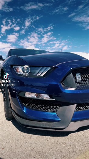 Lets take a look at the 2019 Shelby Mustang Gt350 !! • • • • #mustang #mustanggt #mustangs #mustanglifestyle #shelby #shelbymustang #gt350 #mustangs #mustangsoftiktok #shelbyfamily #ford #fordmustang #fordmustanggt #fordperformance #mustanglife #mustanggang #gt500 #gt350shelby #2019 #cars #livelifegolden