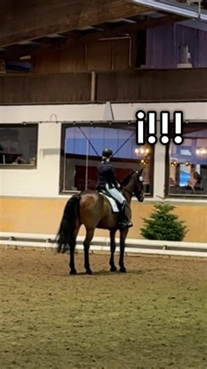 Ego-Konflikte im Reitsport: Humorvolle Einblicke