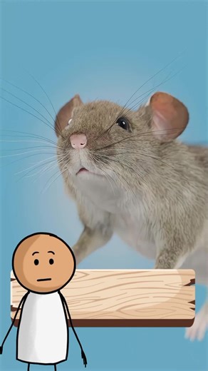 La Rata que Juega Doom 2: Datos Curiosos