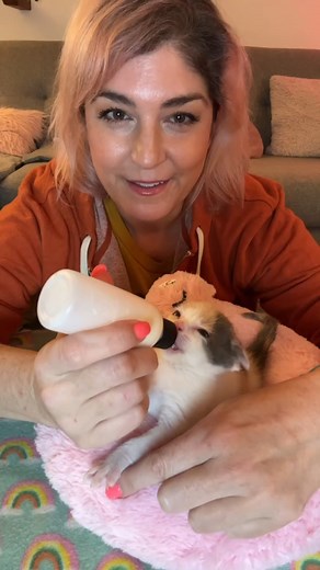 6.5K views · 101 reactions | We're all smitten with spring, but did you know it's also kitten season?  While we love welcoming new cats into the world, there's an overwhelming surge during this time of year. Many shelters, like @bestfriendsanimalsociety, get swamped. ​ ​ Watch this video to learn how you can help! ​ : @samanthabellcats on Instagram ​#kittenseason #freshsteplitter #springlove #catsoffacebook #kittenrescue | Fresh Step Litter | Facebook