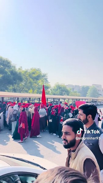 Cursh Update: What You Need to Know