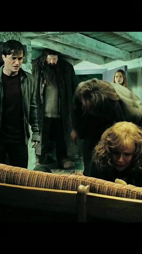 #Harrypotter #deatlyhallows #lupin
