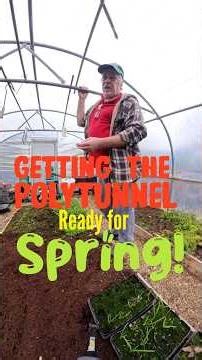 Getting our polytunnel ready for spring #polytunnel #selfsufficiency #kitchengarden #gardenvlog