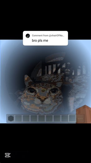 The cat is great #minecraft #pixelart