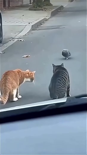 Exploring the Future of Smart Technology and Robotics