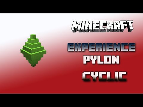Experience Pylon 🔮 Cyclic Tutorial 1.16.5 🔮 English
