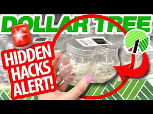 *BEST* Dollar Tree Find, HANDS DOWN! *NEW* Organization HACKS, DIYs & IDEAS!