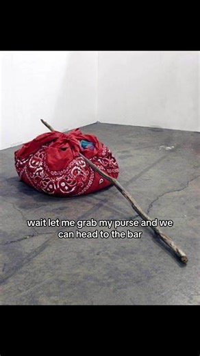Hate when the huzz don’t mess with the stick and bindle 🥲#mystery #bar #hobo #stick #bindle