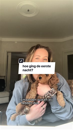 Ontmoet Lizzy: Onze Nieuwe Australian Labradoodle Pup!