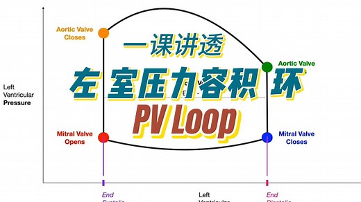 如何理解：左室压力容积环_PV Loop
