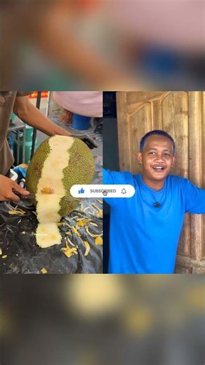 ompit #omped #shortsviral