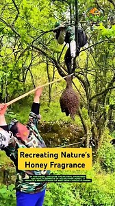 Attracting Honeybees: Recreating Nature's Honey Fragrance