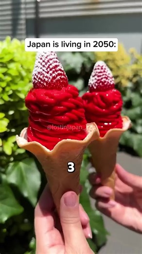 Discover Why Japan Seems Ahead in 2050