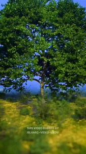 5.2K views · 12K reactions | #islamic #quran #reels #viral #islam #quranverses #allah #quranrecitation #science #allahuakbar | Israr Ahmad Urdu | Facebook