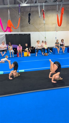 Molly's Tumble Co. | This weekend we held our Mock Exams and we couldn’t be prouder of our students. With 25 students from Primary through to Level 8 (WOW),... | Instagram