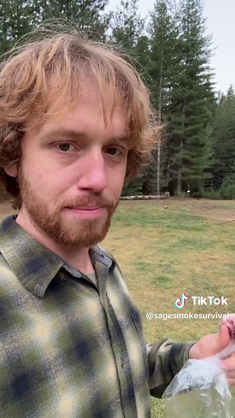 Removing sheep horns | sheep