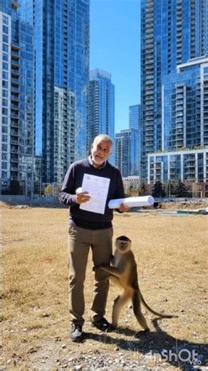 गाँव से शहर तक: दादाजी और बंदर ने बना डाला लग्ज़री घर | Emotional Story”“गरीब दादाजी और बंदर बने