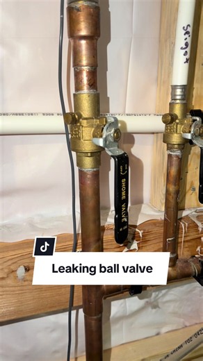 Fixing a Leaking Ball Valve: Tighten or Replace?