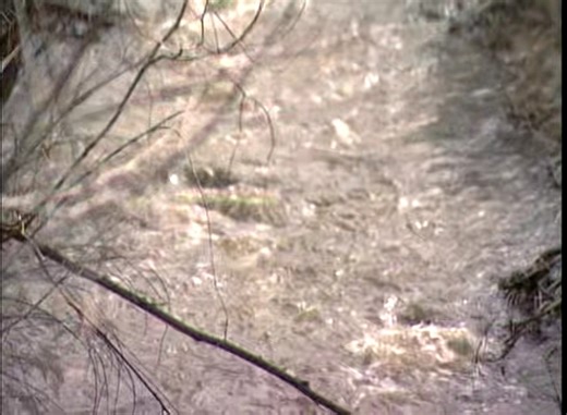 Forensic Files Bitter Brew 1 | Forensic Files 2024