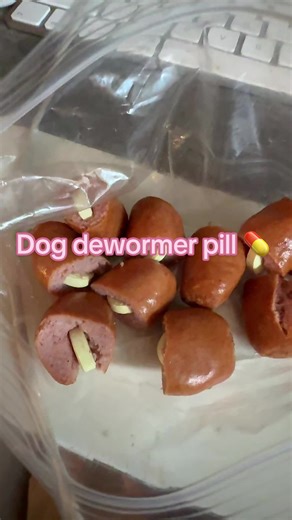 If you struggle with deworming your dogs with liquid, here is another example of a 3 way dewormer that works amazing! #dewormer #dogs #fyp #kennels #bulldogs