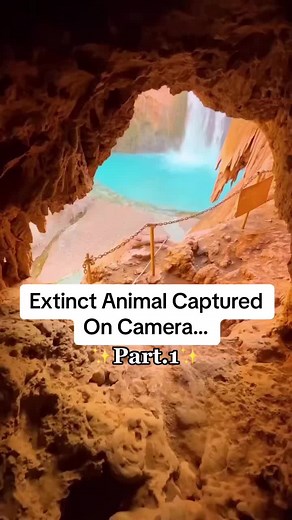 Leviathan Captured on Camera: 33 Creatures Living in a Cave | Part 1