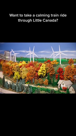 Exploring Little Canada: A Calm Train Ride Experience