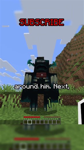 Minecraft Name Tag Secrets That SHOULD Exist