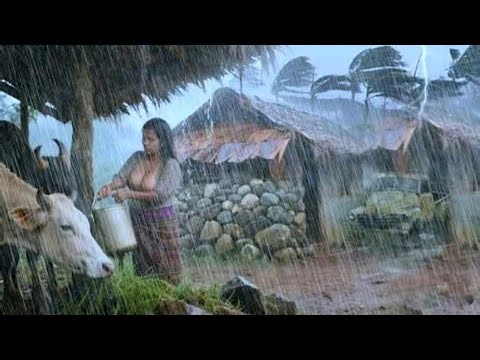 Real Nepali Mountain village life During The Rain | Most people and Relaxing village life ||