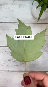 Leaf X-Rays for fall 🍁 #kidscrafts #fallcrafts #leafcrafts | Kids Craft Barn
