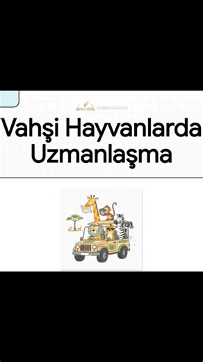 Our 7th Grade English lesson video on Wild Animals is now available. Don't forget to watch it!