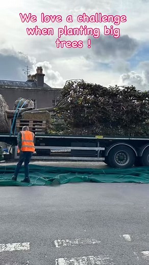 Challenge accepted. 💪🌳 Recently tackled a very ambitious project – transporting and planting 8-tonne specimen trees that most would say “can’t be done.” Our 16-tonne capacity telehandler, strategic road access, protective tracking across the lawn, and precision manoeuvring made the impossible possible. This is what we do at Nature First – we don’t just plant trees, we make visions reality, no matter the scale. 🍂 Planting season is HERE 🌲 No project too large 🏆 Expertise you can trust Ready 