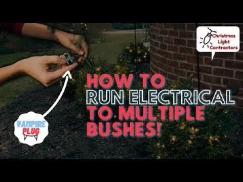 Running Electrical to Multiple Bushes