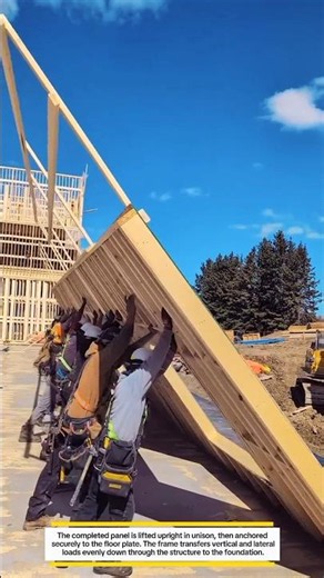 Large Wooden Wall Frame Installation