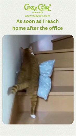 Call now for single or Bulk order: +91 9310080145 #bestmattressforbackpain #mattressmanufacturer