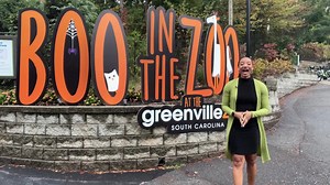 👻 BOO. Halloween spirit at the Greenville Zoo, 🎶 Falling for a weekend of tastes, taps and tunes, 🏡 Accelerating our investment in affordable housing projects, 👟 a Grammy award winning gospel singer steps into the #GreenvilleSC shoe biz, and 🥎 our heroes are warming up for this year's big game. 👋🏽 Here's Loren with #GVLthisWeek. | City of Greenville, South Carolina Government