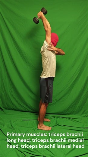 Single Arm Overhead Dumbbell Tricep Extension (demonstration)