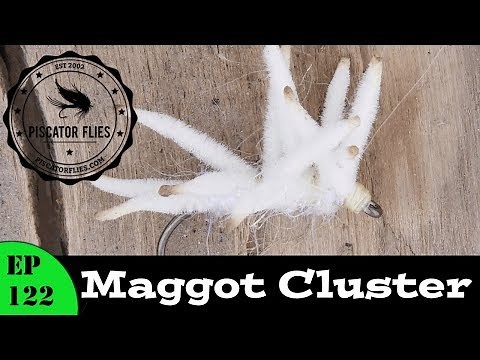 Fly Tying A Cluster Maggot Fly Pattern for Carp and Trout - Ep 122 Piscator Flies PF