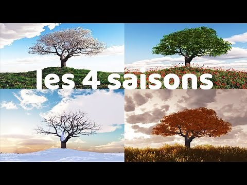 les 4 saisons de l’année