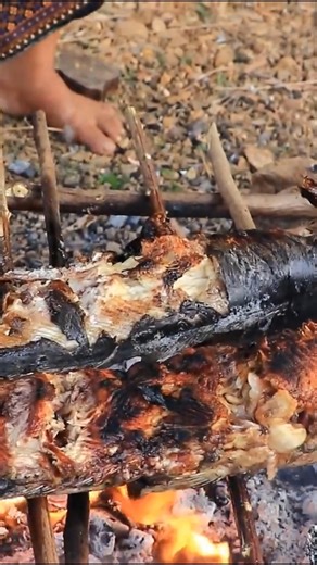 202K views · 3.7K reactions | Catch two big fish for dogs #survival #hunting #dog #doglover #fishing #fruits | Cooking With Me | Facebook