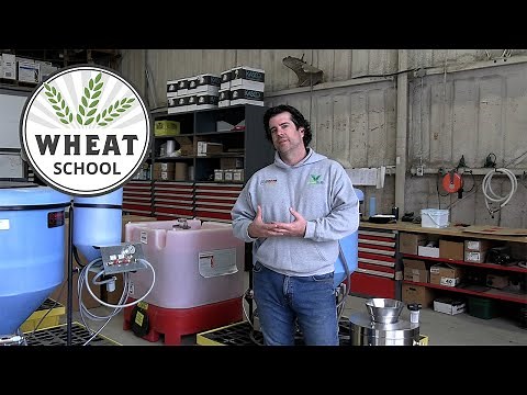 Wheat School: How to properly treat seed